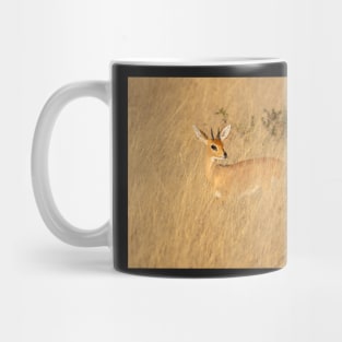 Steenbock, Hwange National Park, Zimbabwe Mug